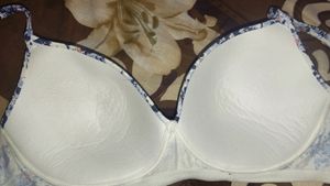 UL50 Women's Under-Wired Padded Super Combed Cotto