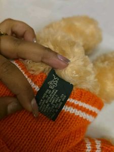 Cute Teddy Bear with Sweater