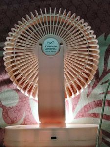 Portable Adjustable Speed Desk Fan