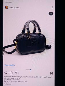 Chic Mini Coach