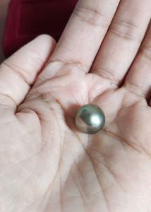 Large Tahitian premium 13mm Virgin Pearl