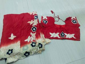 Red Saree with Embellished Blouse