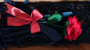 Handmade Crochet Red Rose Bouquet