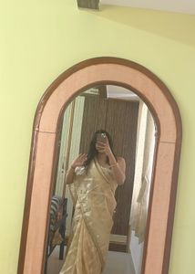 tissue saree