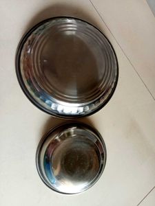 Stainless Steel Plates (Set of 2)