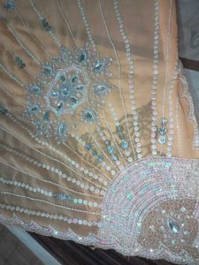 Peach Orange Saree with Silver Embroidery | Party