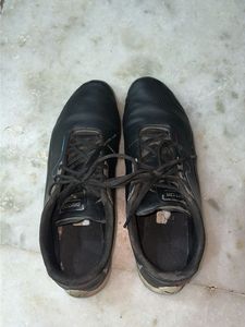 Puma Black Sneakers(Price drop)
