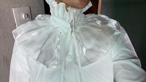 White Ruffled Neckline Long Sleeve Top