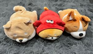 Cute Plush Dog Toys Set