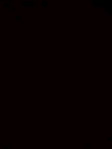 Test P1