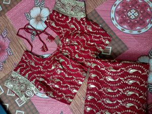 🌹Red &amp; Gold✨ Premium Embroidered Fabric