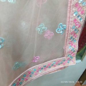 multi    Embroidered Lehenga Choli