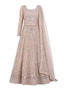 Elegant Lehnga