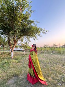 20 second couture saree