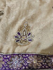 Festival And Wedding Wear Saree