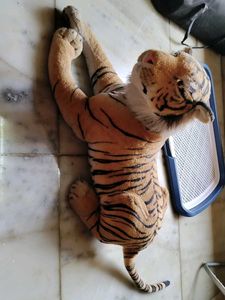 Realistic Tiger And Dog Dolls 🤩