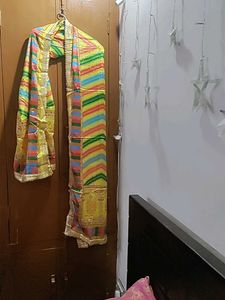 Vibrant Multicolored Dupatta