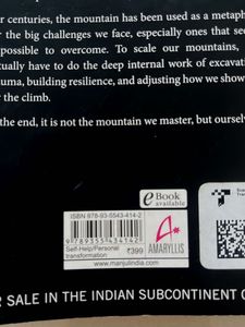 Book: The Mountain Is You