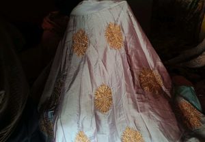 Embroidered Ethnic skirt and blouse