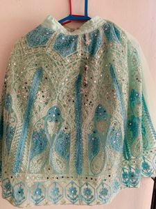 Embellished Mint Green lehanga