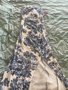 Clearance  - Chic Blue &amp; White Scenic Print Dr