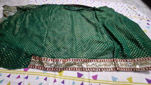 Green Embellished Saree with Blouse