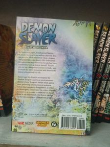 Demon Slayer Vol 9