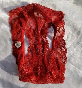 Sheer Lace Red Briefs