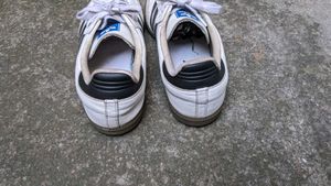 Adidas Samba OG Men's White Sneakers