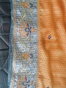 Beautiful Orange Saree with Embellished Border