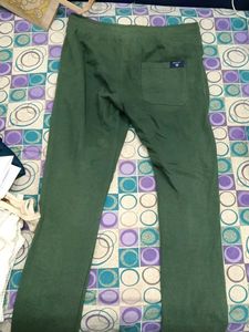 GANT Green Joggers