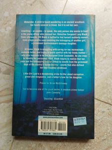 Little Girl Lost by Brian McGilloway