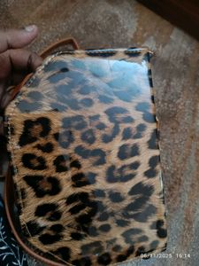 new Leopard Print Crossbody Bag