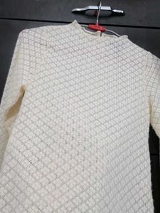 Branded New Sheer Lace Long Sleeve Top