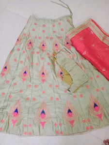 Beautifully Embroidered Lehenga Choli