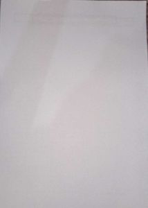 ASSIGNMENT SHEETS - Pack Of 100