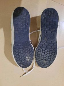 White Canvas Sneakers with Blue Trim