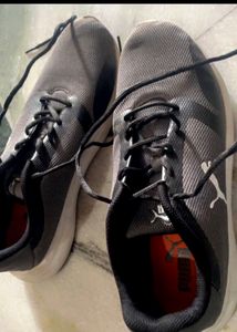 Shoe