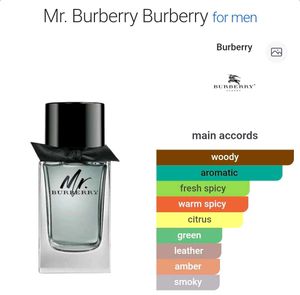 Mr. Burberry, Perfume for MEN 🇬🇧