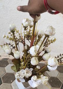 Flowers And Pot