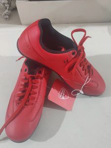 Ducati Men's Casual Shoes. Like New.  No Coins