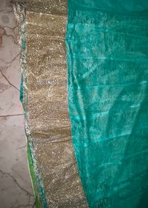 Beautiful Teal Net Skirt