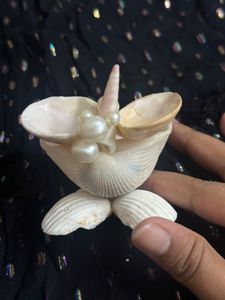 original Seashell Pearl jewellery organiser
