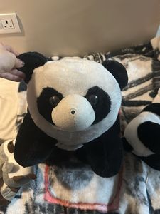 Cute Panda Plush Toys Bundle