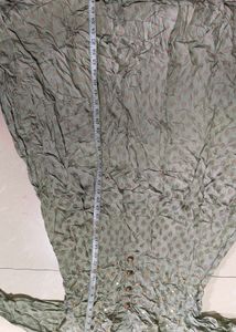 Light Green Ethnic Gown