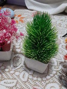 Artificial Plant Combo Pack Of 3