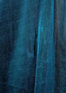 I'm Selling a Sheer Shimmer Blue Top