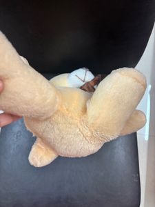 Cute Plush Teddy Bear