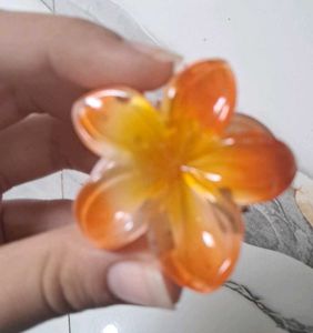 Set of 4 Flower Hair Clips