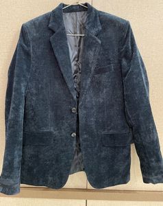 New Shimmery Velvet Blazer